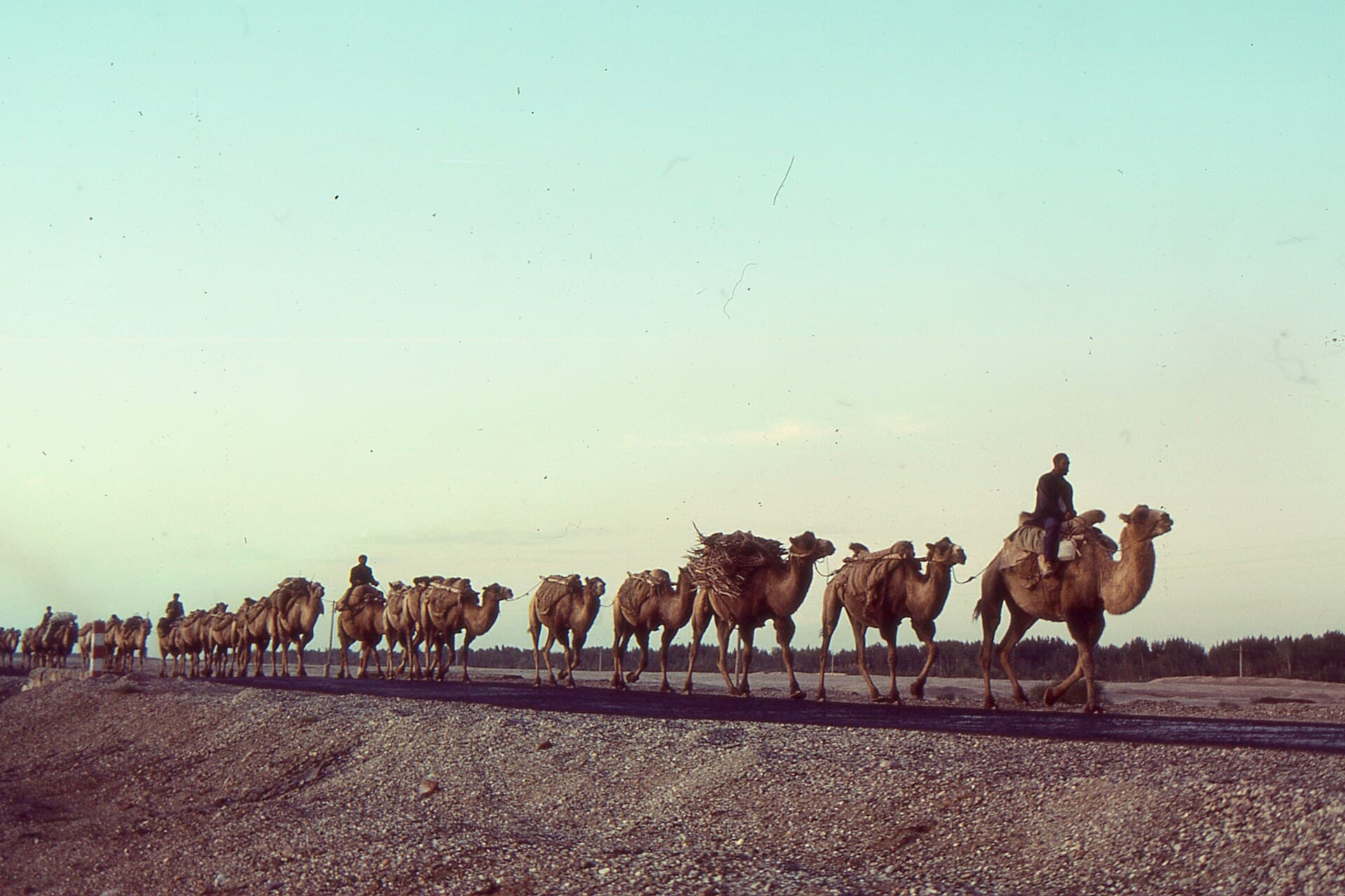 Caravane sur la Route de la Soie, route commerciale légendaire reliant l'Orient et l'Occident.