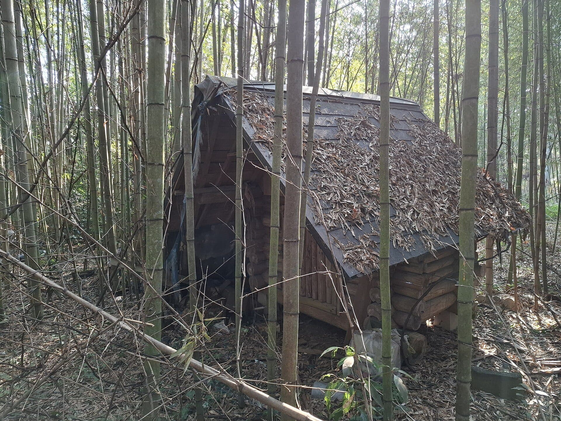 Maison individuelle japonaise laissée à l'abandon, volets fermés et végétation envahissante, dans la ville de Hikari.