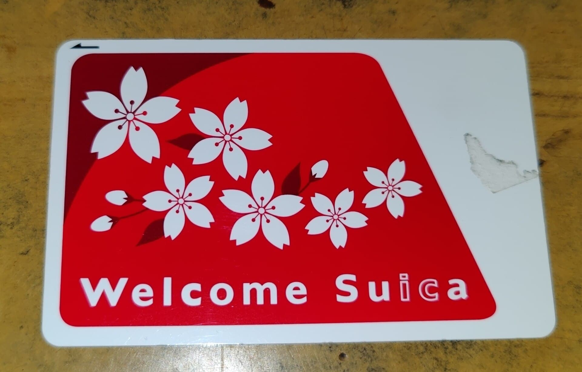Carte Welcome Suica, le titre de transport rechargeable destine aux visiteurs au Japon, decoree de fleurs de cerisier blanches sur fond rouge