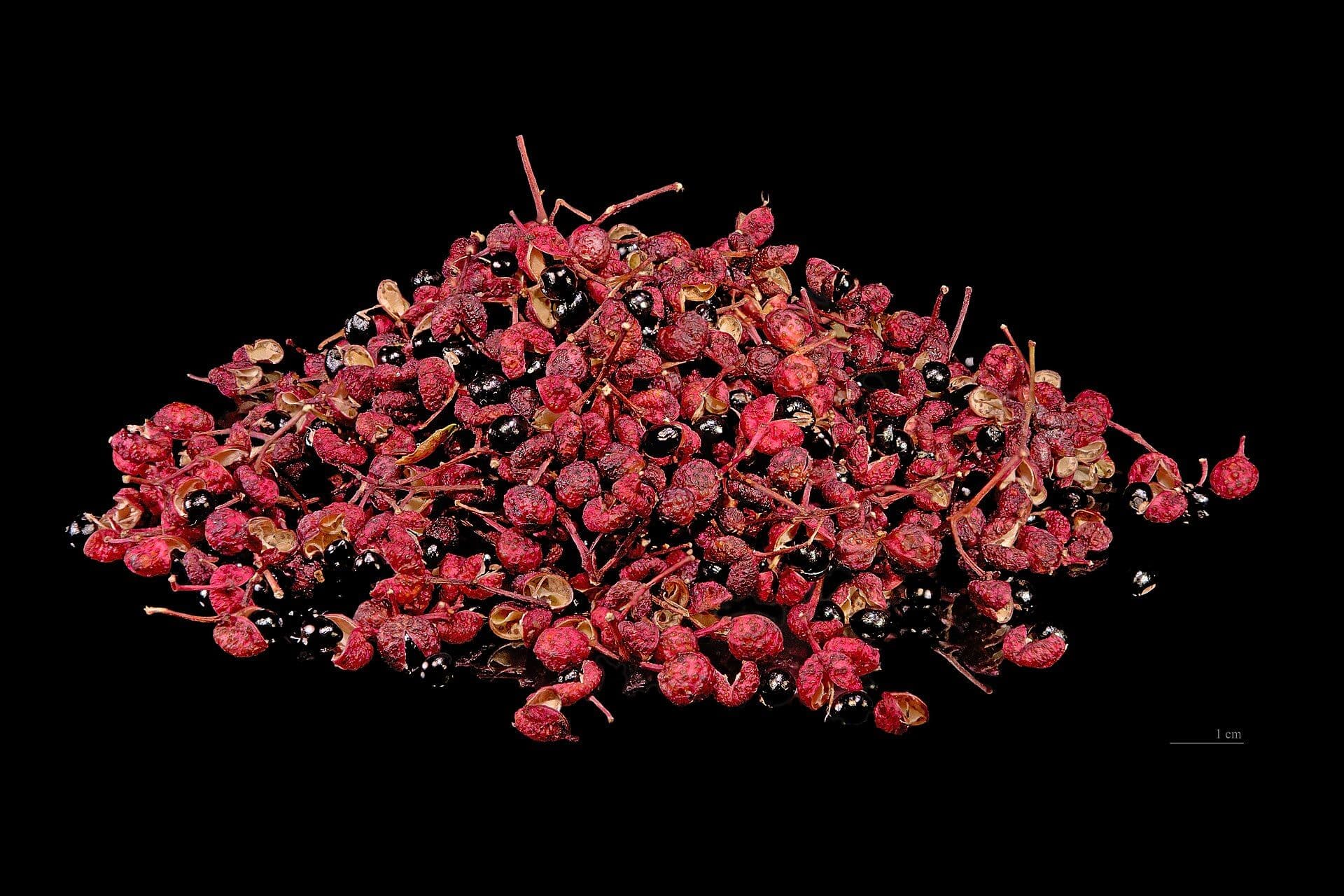 Fruits et graines de poivre du genre Zanthoxylum, dont vient l'engourdissement du mala.