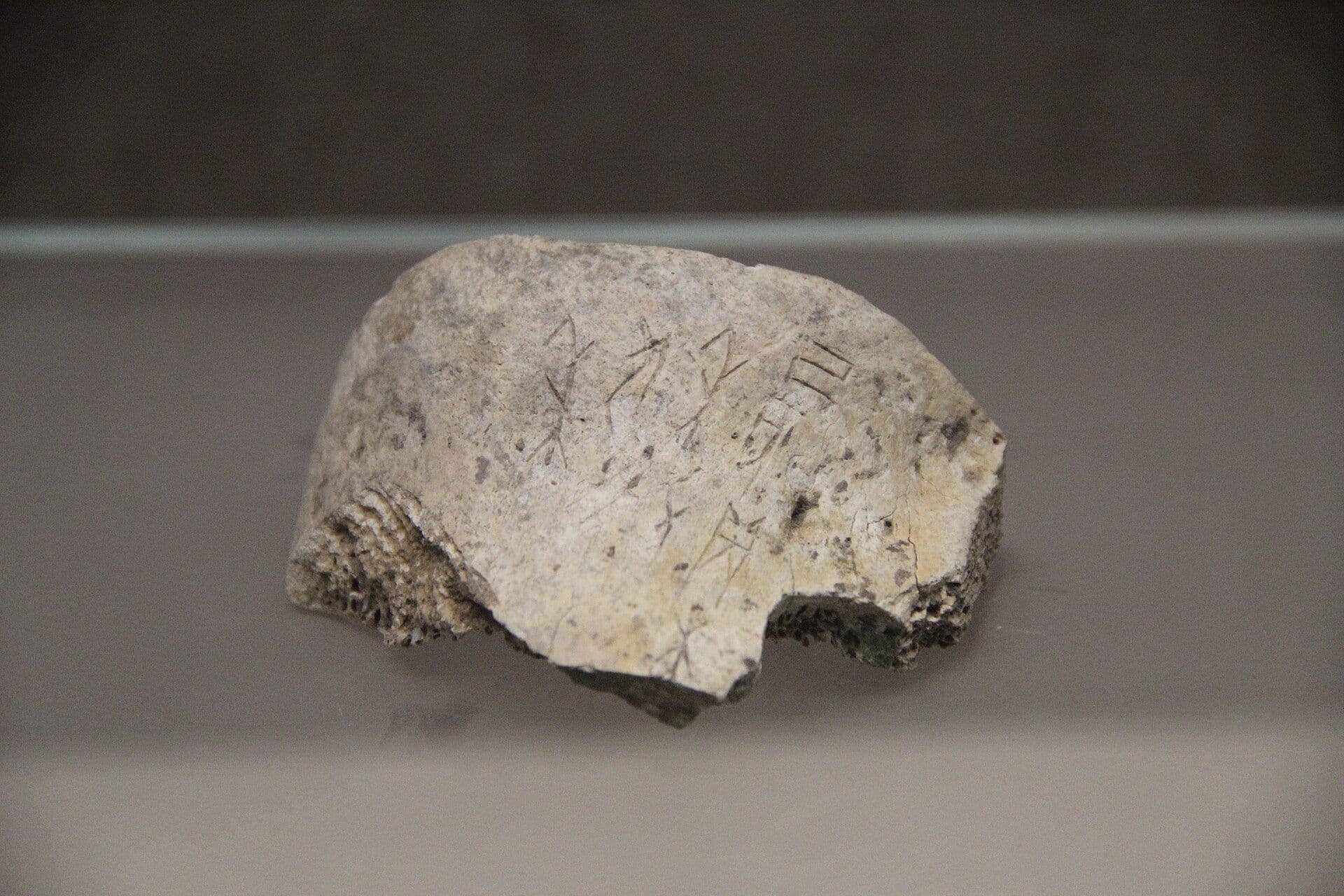 Os oraculaire gravé de caractères chinois archaïques, dynastie Shang.