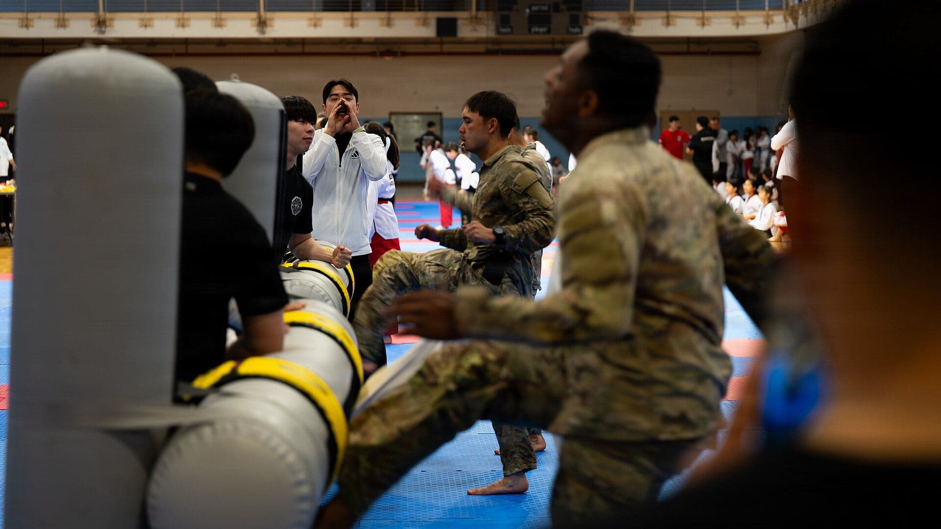 Démonstration de taekwondo, coup de pied sauté.