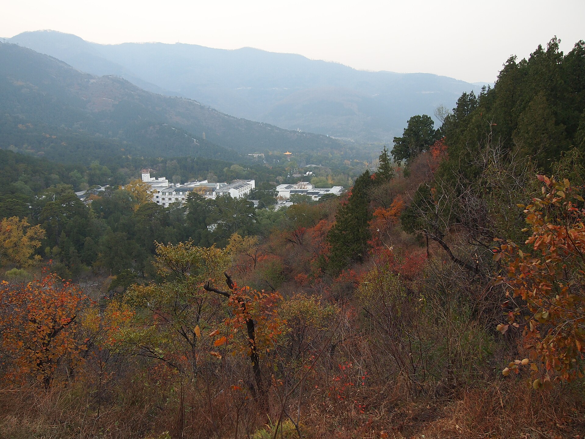 Beijing's Fragrant Hills (Xiangshan) covered in russet maples under a clear autumn sky, an emblematic destination of the Chongyang mountain-climbing tradition