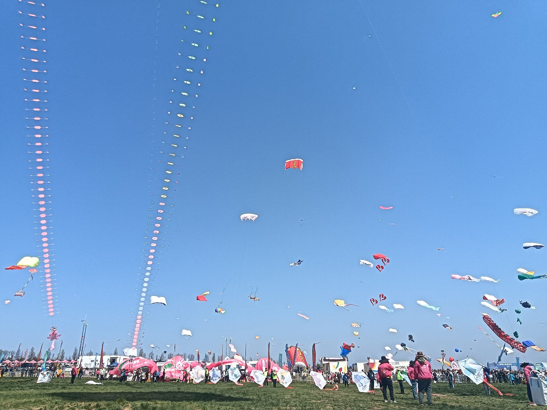 Colorful kites flying in a clear spring sky, a traditional taqing activity during Qingming